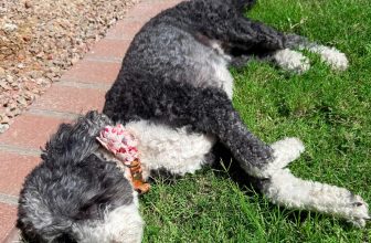 8.22 Friday Faves – The Fitnessista