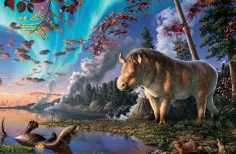 Meet the Weirdly Wonderful ‘Frosty’ Rhino That Once Roamed the Canadian Arctic