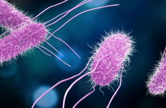 Scientists Are Testing a Vaccine for Food Poisoning. It Can’t Come Soon Enough