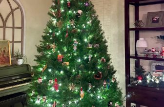 12.6 Friday Faves – The Fitnessista