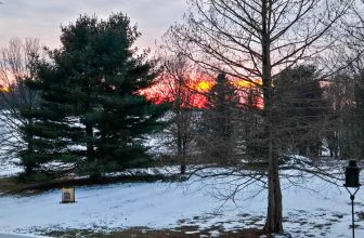 The Little Things Newsletter #508 – Life, laughter, and lots of great food!